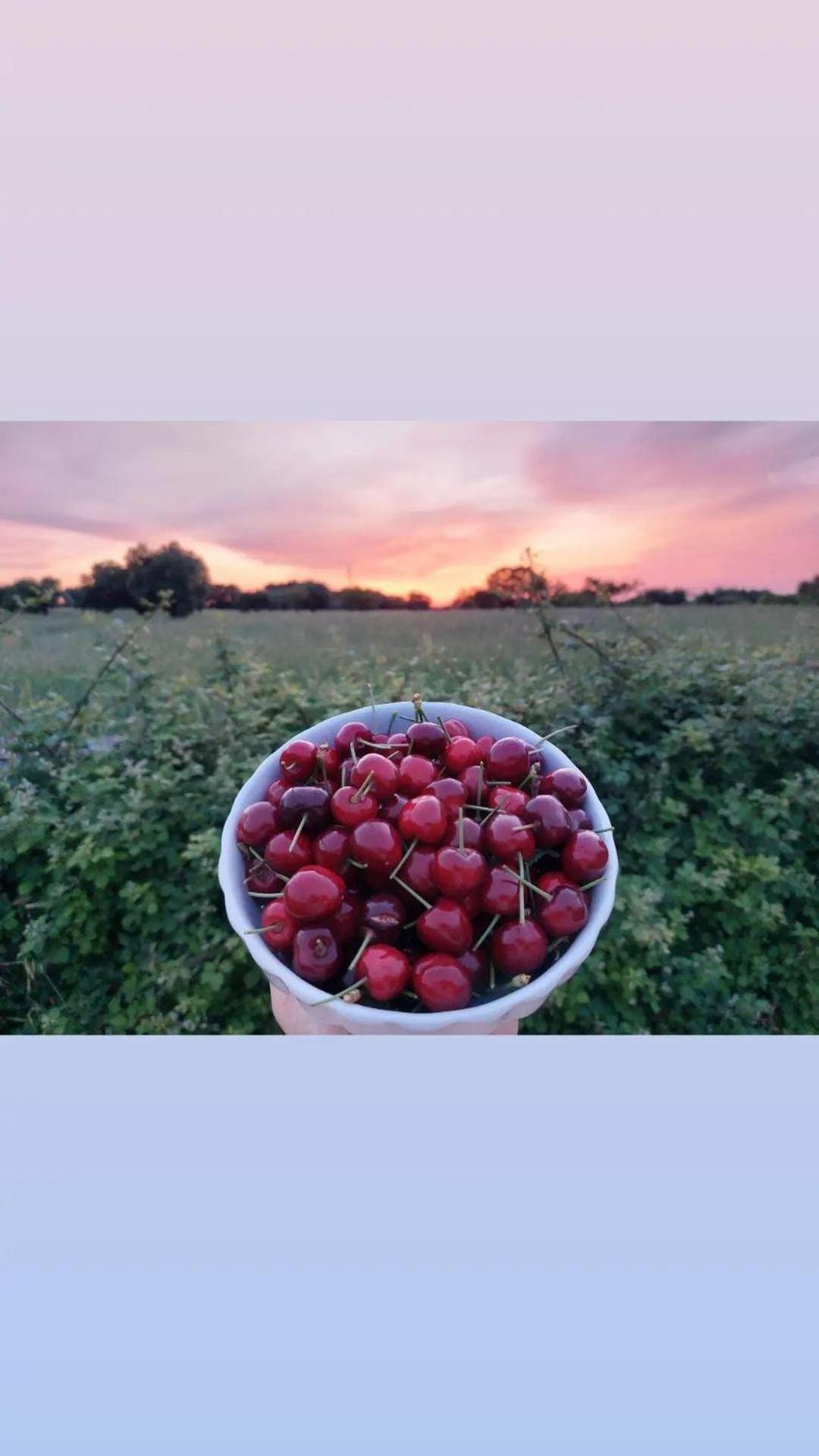 卡斯特拉纳格罗泰 Masseria Fra Diavolo旅馆 外观 照片